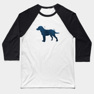 Chesapeake Bay Retriever Baseball T-Shirt